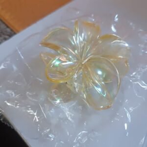 Hair Clamp Grip, Simple Matte Hair Barrette Clamp Charming Decoration Hair Fixation Decorative for Face Washing, Hair accessories